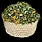 Spell icons 774