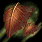 Spell icons 887